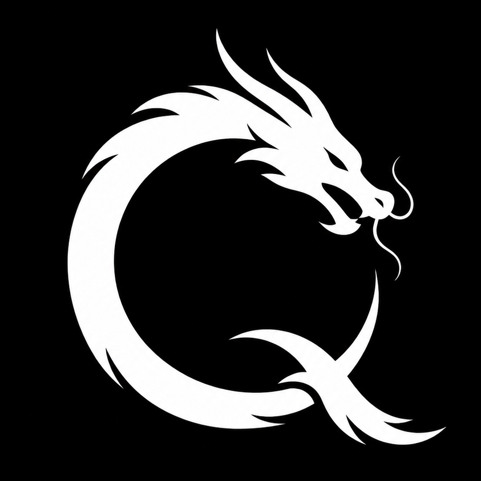 小龙跨境 Logo
